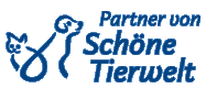 Sch&ouml;ne Tierwelt