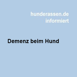 Gibt es eine Demenz beim Hund