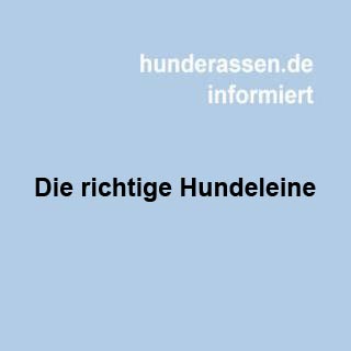 ... das A und O