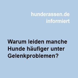 Gelenkprobleme bei manchen Hunden