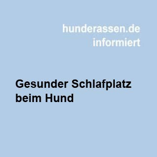 Gesunder Schlafplatz beim Hund