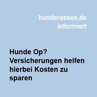 Hunde-OP, Kosten sparen durch eine Krankenversicherung für Hunde