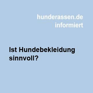 Hundebekleidung nur modisch oder auch sinnvoll