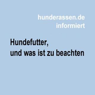 Was ist gutes Hundefutter und welcher braucht welches.