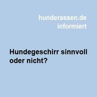 Die richtige Hundegeschirr 