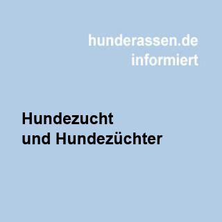 Was sind die Kriterien für einen guten Züchter.