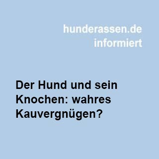Hunde lieben es, auf einem Knochen herumzukauen. Es befriedigt den Spieltrieb und es ist eine schöne Beschäftigung.