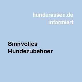 Beziehung zwischen Hund & Herrchen mit dem richtigen Hundezubehör stärken