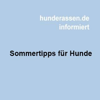  Einige nützliche Tipps für die extreme Hitze im Sommer