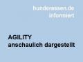 AGILITY