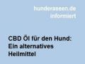 CBD Öl für den Hund: Ein alternatives Heilmittel