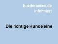 Die richtige Leine