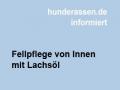 Fellpflege von innen