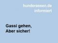 Gassi gehen aber sicher