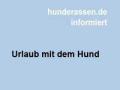 Gelenkbeschwerden