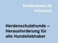 Herdenschutzhunde - Herausforderung für alle Hundeliebhaber