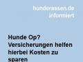 Hunde-OP, Kosten sparen durch eine Versicherung