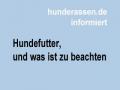 Hundefutter