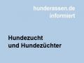 Hundezucht