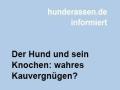 Der Hund und sein Knochen: wahres Kauvergnügen?