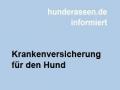 Hundekranken versicherung im Urlaub