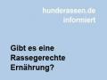 Rassegerechte Ernährung des Hundes?