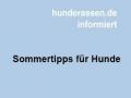 Sommertipps 
