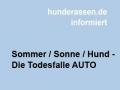 Sommer / Sonne / Hund -  Die Todesfalle AUTO