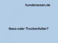 Nass- oder Trockenfutter?