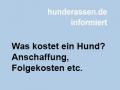 Was kostet ein Hund?