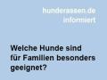 Welcher Hund ist für Familien geeignet?
