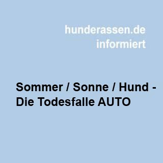 Hier finden Sie die Hitzetabelle, Erste-Hilfe-Tipps und Wichtiges zur Rechtslage bei Hunderettung aus fremden Fahrzeugen. Denn das berühmte 