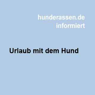 Hier kommt unser Ratgeber für die heiße Jahreszeit