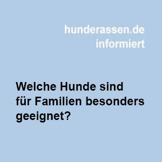Welchen Hund sollman sich ins Haus holen, was sind die Kriterien, Ein kleiner Tipp hier von uns. 