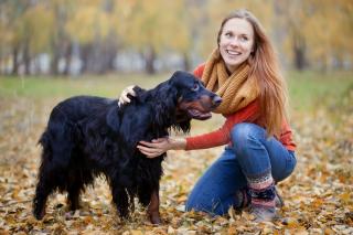 jagdfreudig, konsequente Erziehung nötig, familienfreundlich